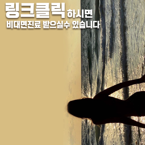 다이어트환