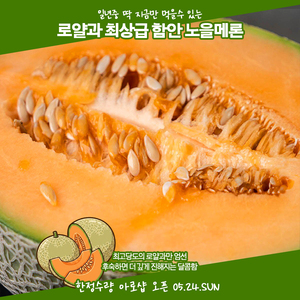 <미리보기> 최특상품 함안 노을메론