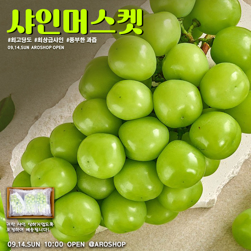 고당도 프리미엄 샤인머스켓 [날짜지정가능]