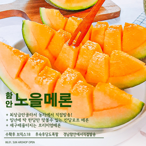 함안노을메론